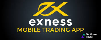 Exploring the Exness MT4 Platform for Optimal Trading Experience
